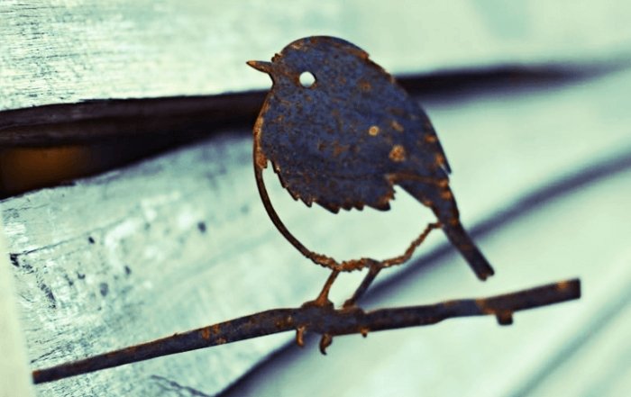 5 TIPS OM JE METALBIRD EEN MOOIE PLEK TE GEVEN