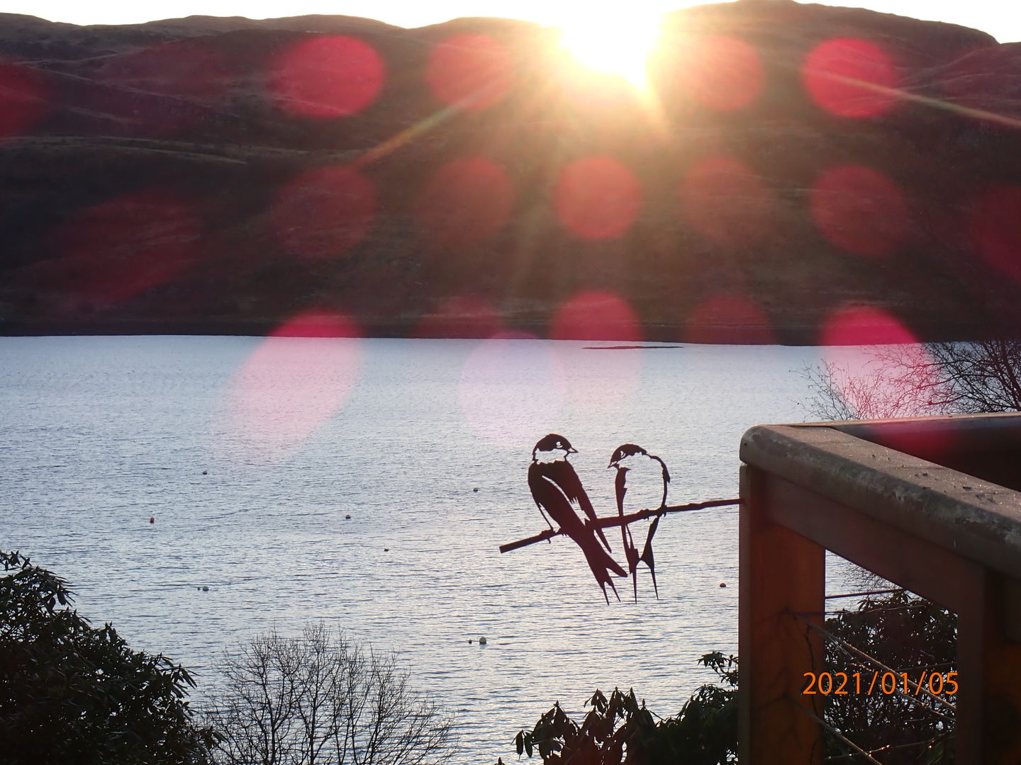 Not Just a Bird. It’s a Reminder.