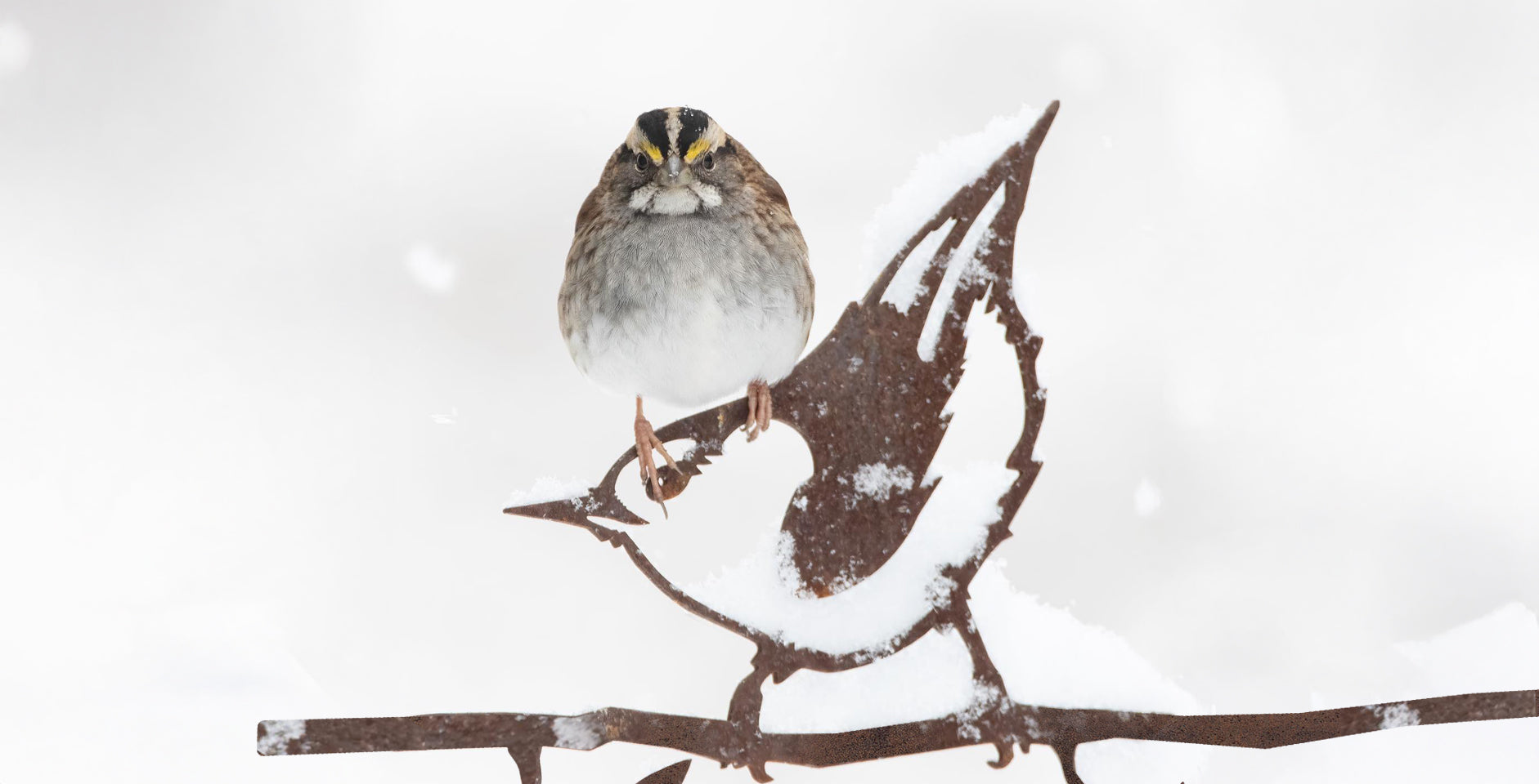 How We Choose Our Causes