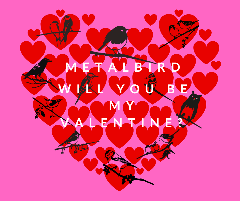 Are you my Valentine? 💗