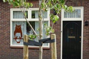 MOOIE PIC’S!