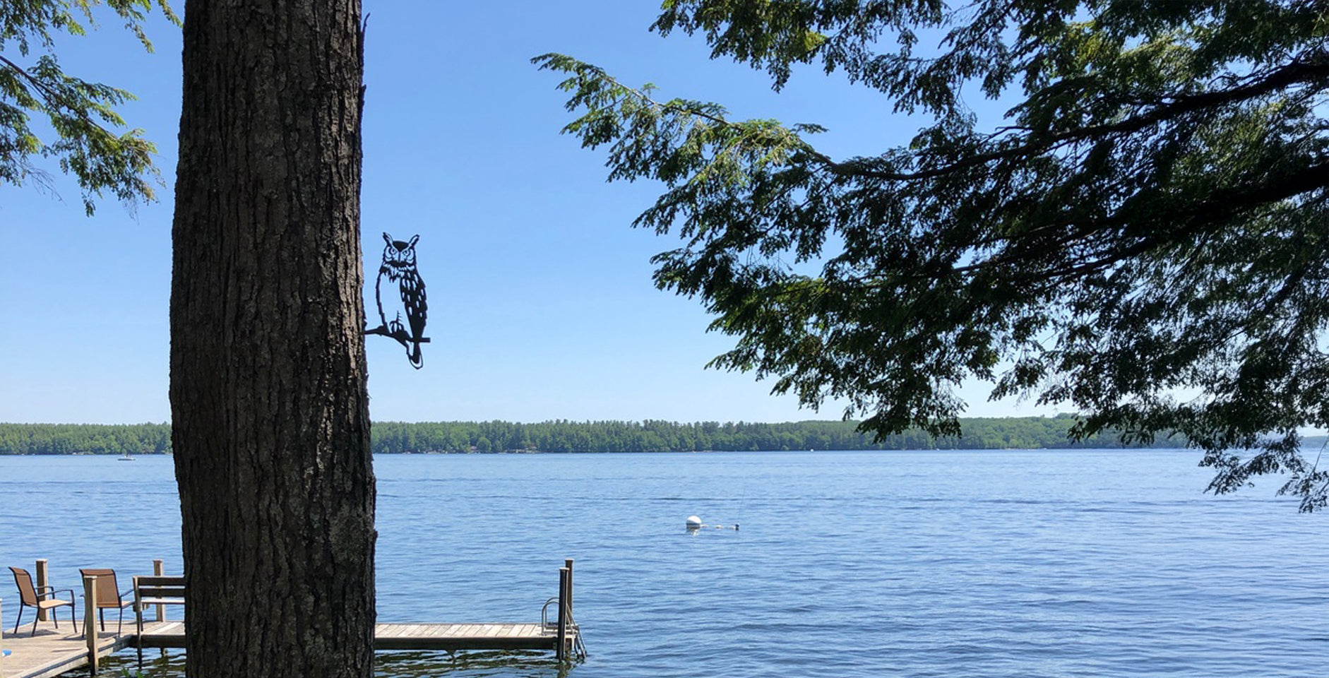 Why Birds Symbolize Loss (and Love)