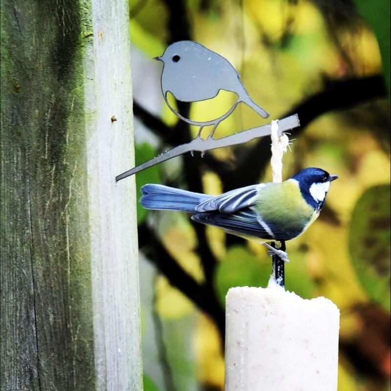VOGELTJES VOEREN MAG HET HELE JAAR DOOR