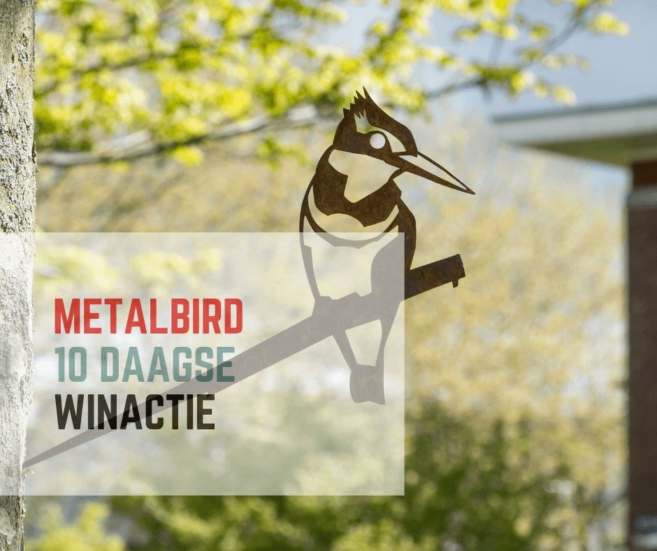 VOORJAAR WINACTIE ☘️ 