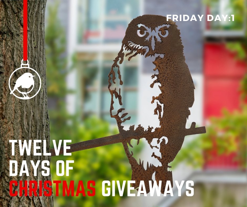 WINACTIE KERST 🎄🎶🎁