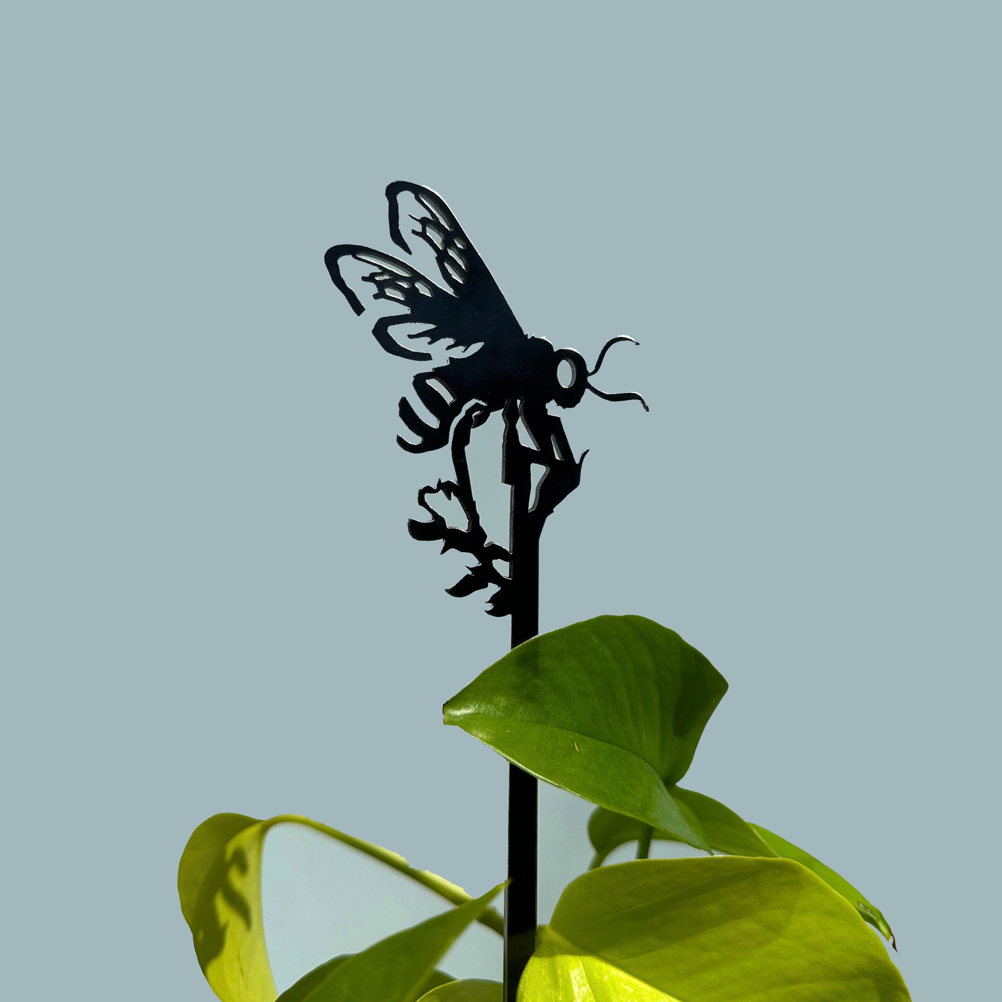 Honingbijplantensteun