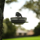 Luxe Kerstcadeaupakket