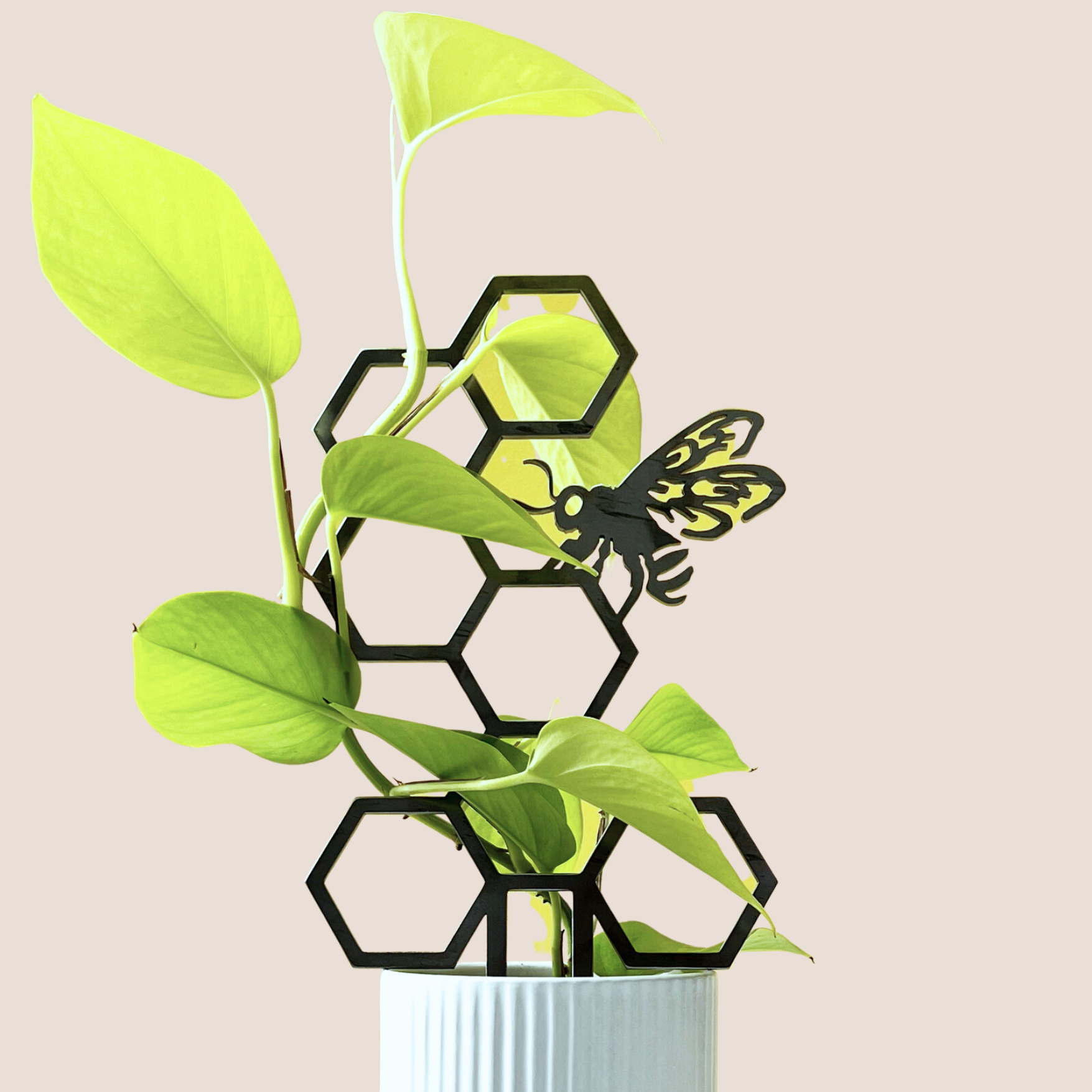 Luxe Kerstcadeaupakket