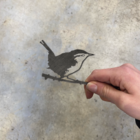 Minibundel – Zwaluw, specht en winterkoning