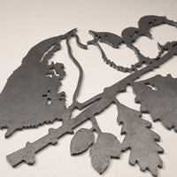 Winterkoninkje Met Jongen