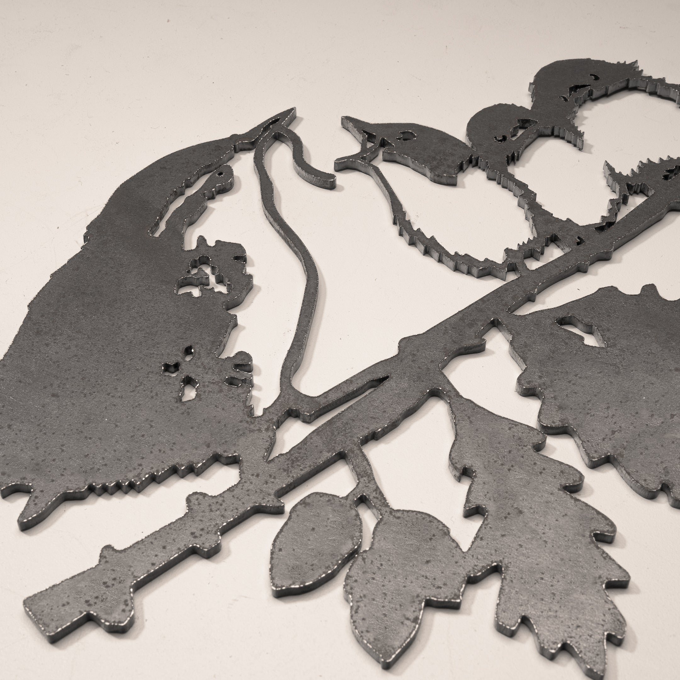 Winterkoninkje Met Jongen