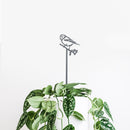 PIMPELEMEES PLANTENSTAK - 70CM