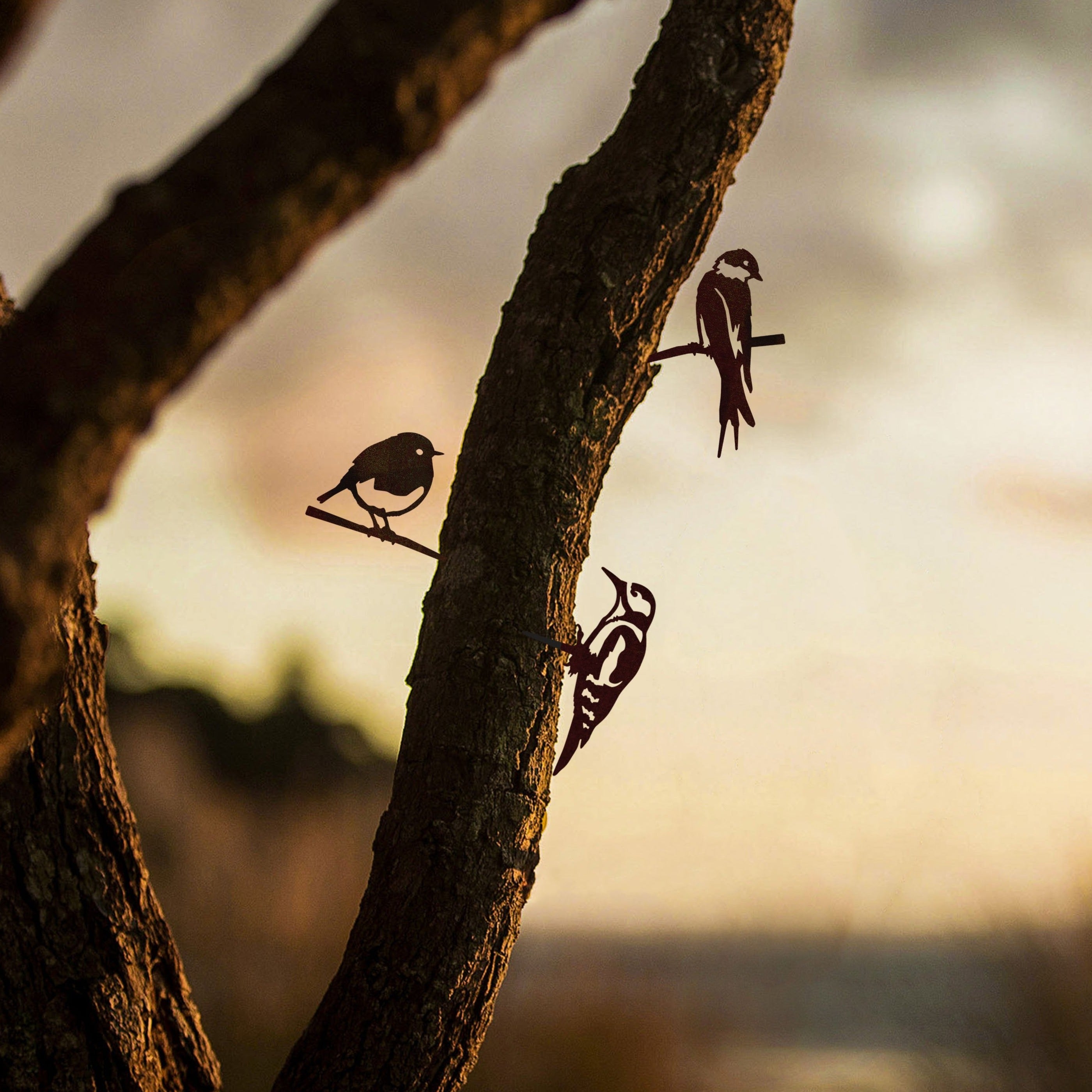 Minibundel - Zwaluw, specht en roodborstje