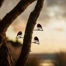 Babyvogelbundel in drie soorten