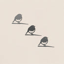 Babyvogelbundel in drie soorten