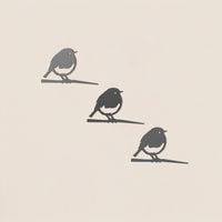 Babyvogelbundel in drie soorten