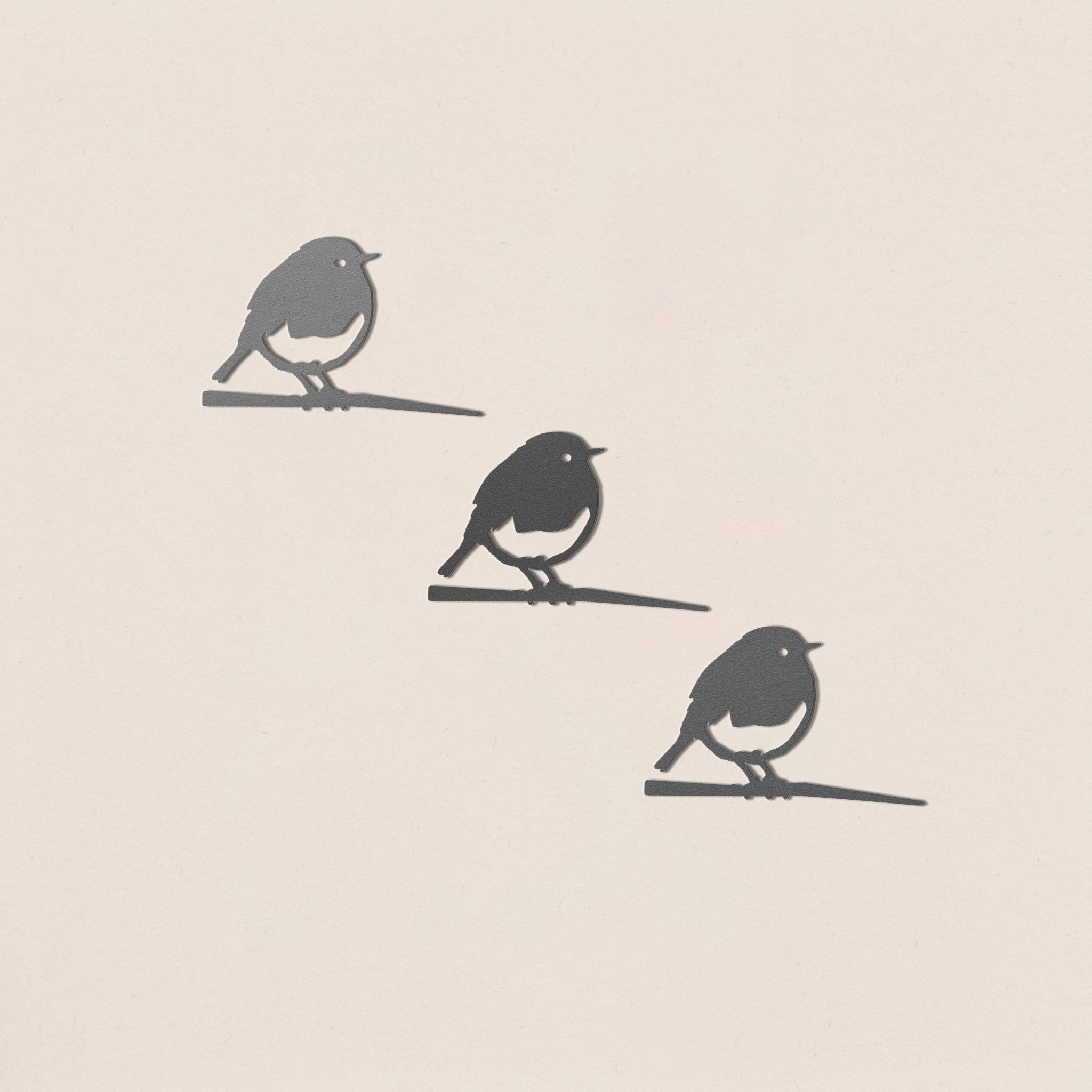 Babyvogelbundel in drie soorten