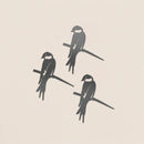 Babyvogelbundel in drie soorten