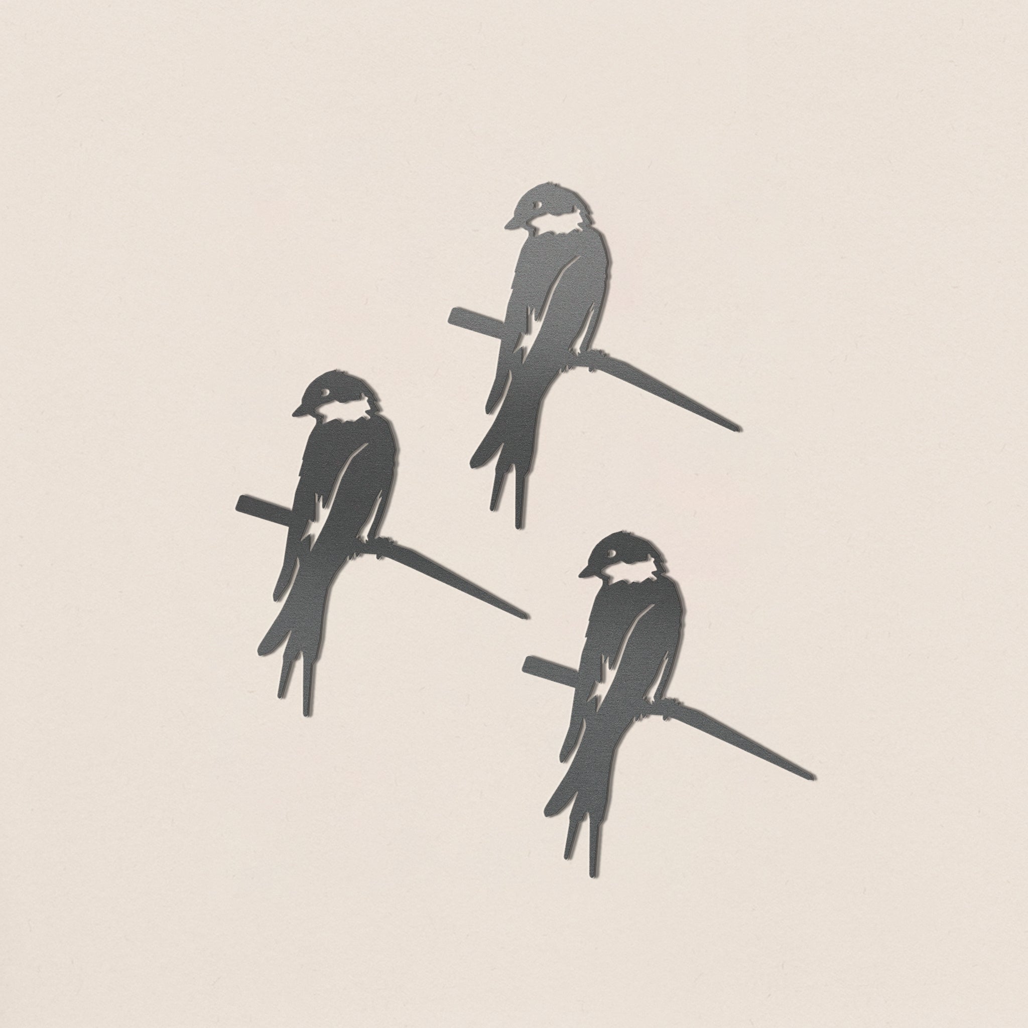 Babyvogelbundel in drie soorten