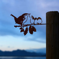 Winterkoninkje Met Jongen